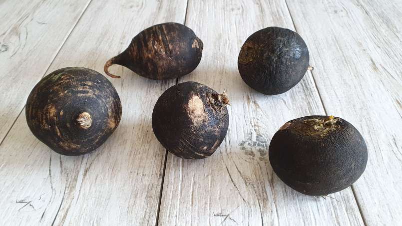 Ridichea - een wondermiddel