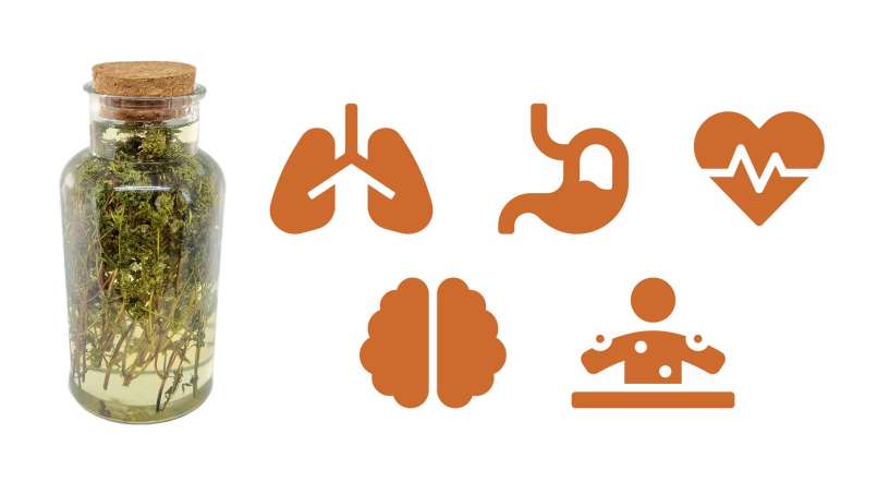 Tijm maceraat met honing