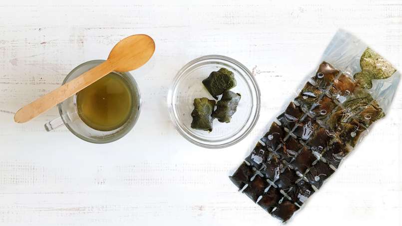 Bevroren ijsklontjes van brandnetelsap