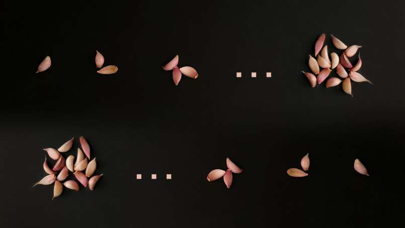 Hele knoflook in de ochtend op een lege maag